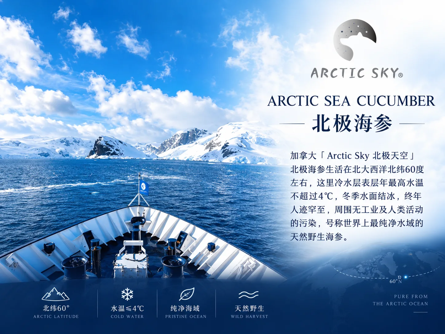 北极天空加拿大北大西洋海参产品资料图3