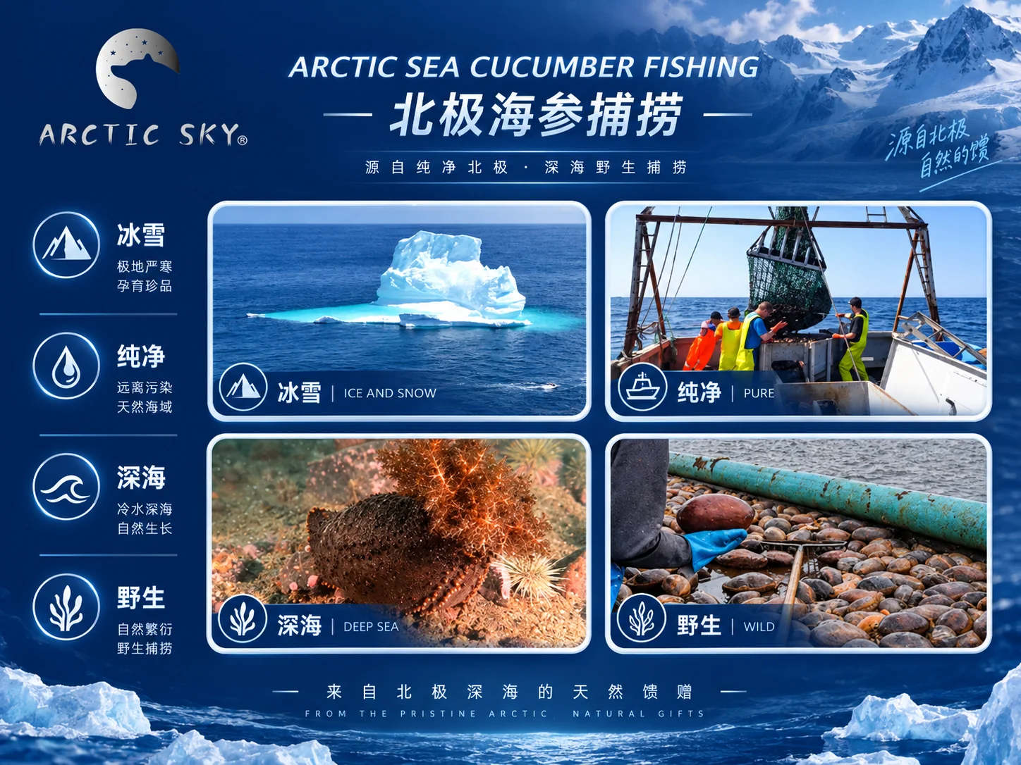 北极天空加拿大北大西洋海参产品资料图4