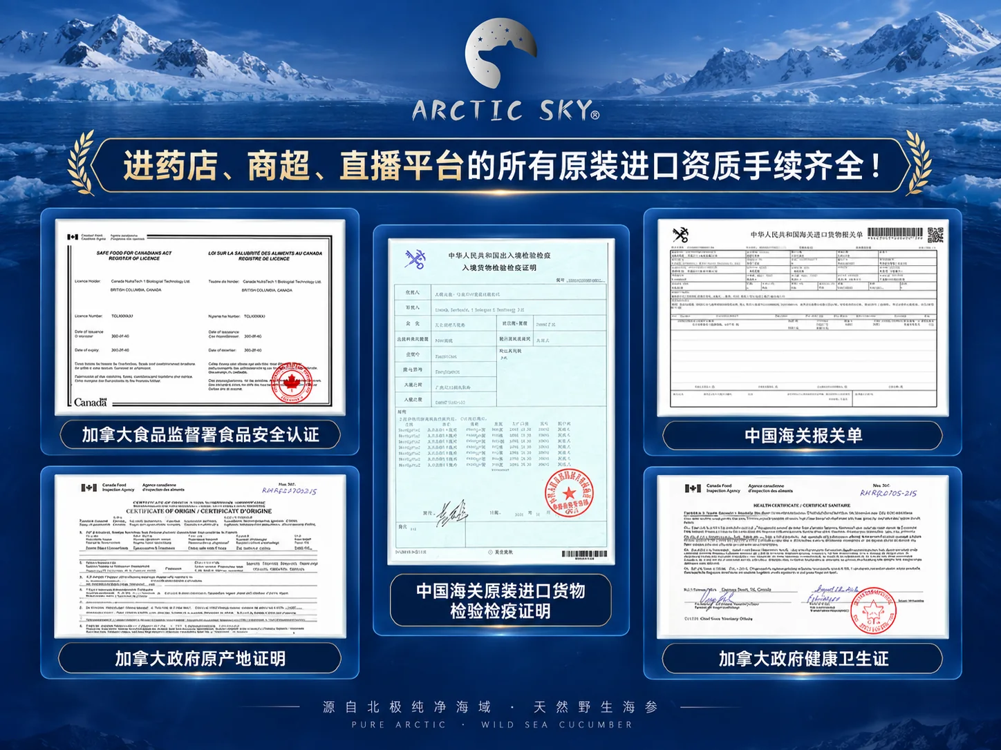 北极天空加拿大北大西洋海参产品资料图5