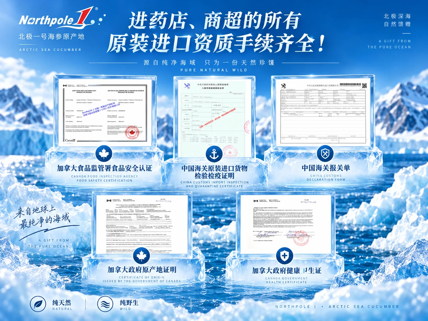 北极一号黑金帝王级海参产品资料图5